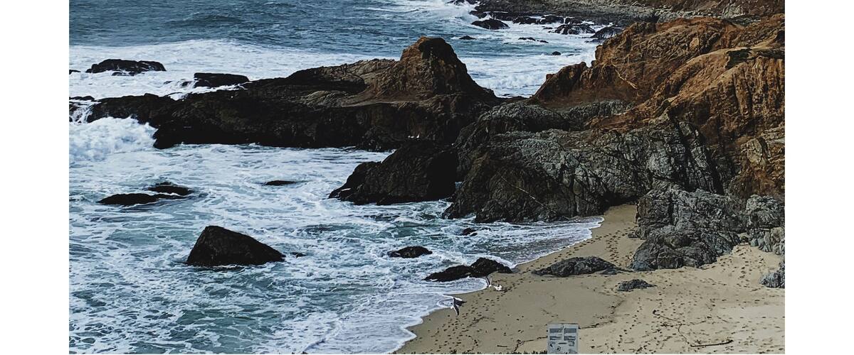 Winter in Bodega Bay, CA