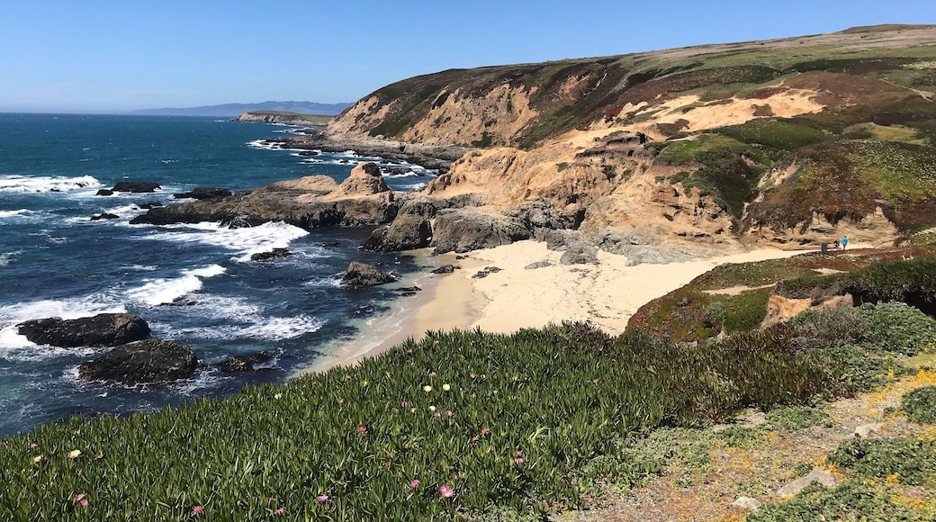Bodega Head, Sonoma State Beaches, California. #LifeAtExpedia