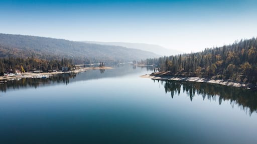Forest reflected in the water of Bass river in California