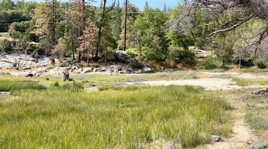 Bass Lake Panorama