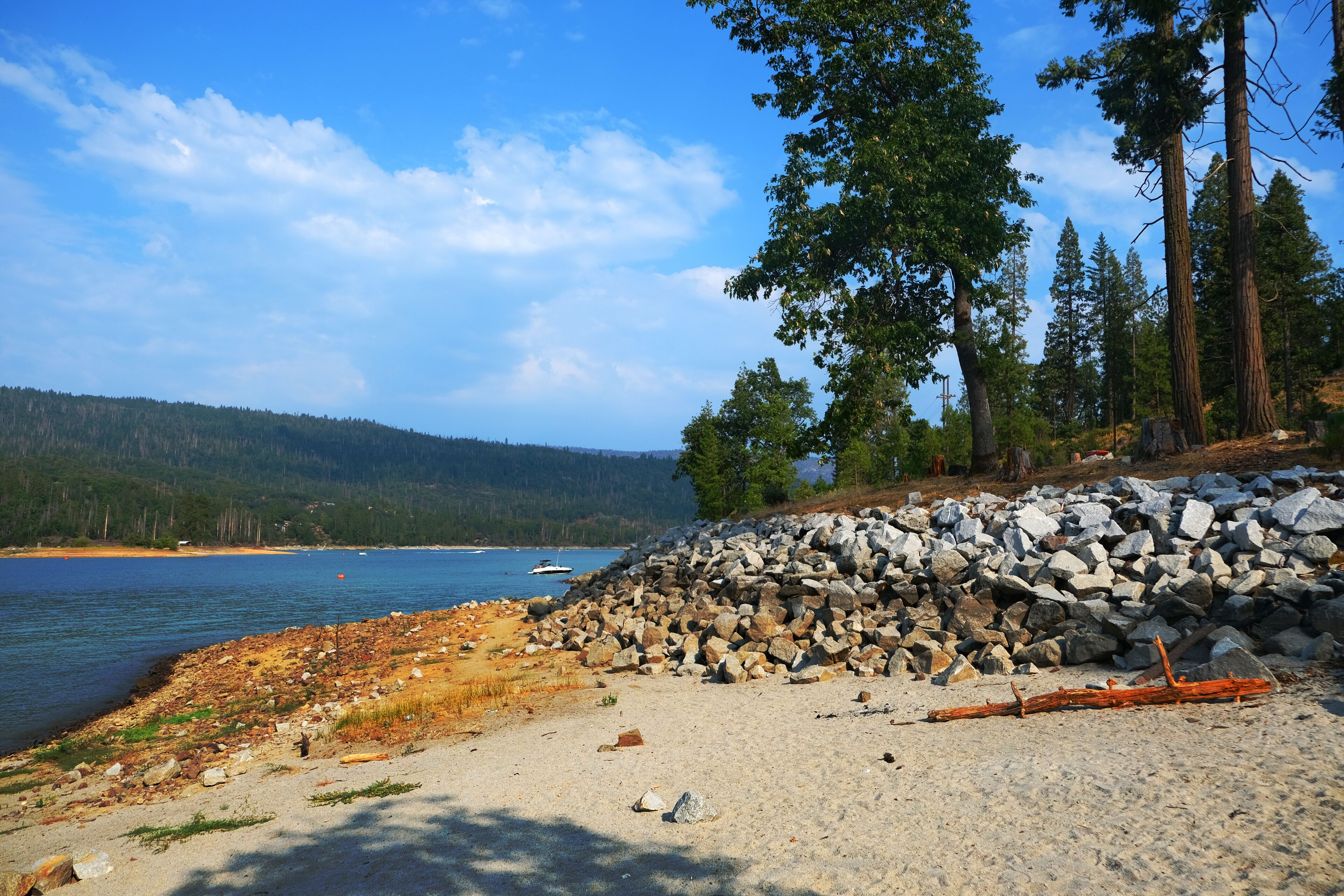 Water, sun, trees, boats on Bass lake in Yosemite.