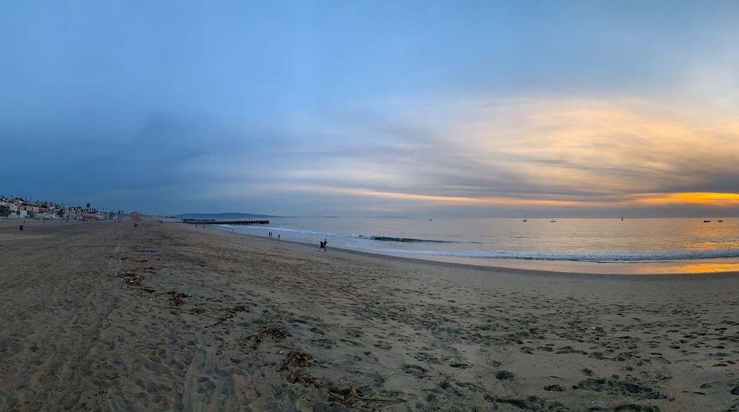 Playa del Rey Beach, Los Angeles County
