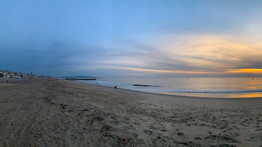 Playa del Rey Beach, Los Angeles County