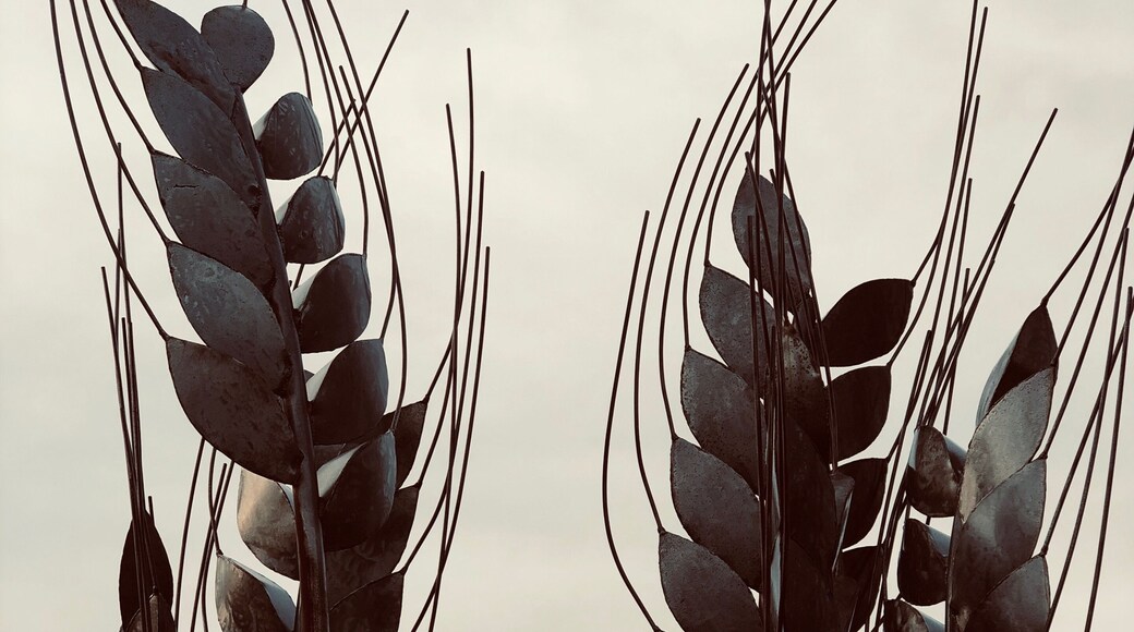 Love this sculpture at a brewery just off the highway in Hart MI. Great food and drink too! #pitstop #OnTheRoad