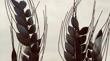 Love this sculpture at a brewery just off the highway in Hart MI. Great food and drink too! #pitstop #OnTheRoad