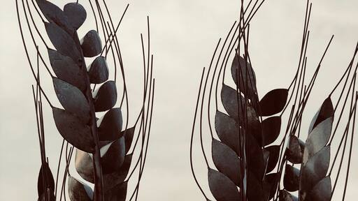 Love this sculpture at a brewery just off the highway in Hart MI. Great food and drink too! #pitstop #OnTheRoad