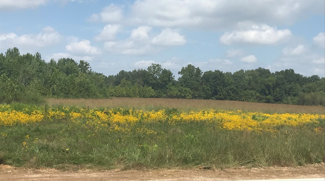 Lots of hiking trails throughout the Park on a beautiful late summer morning.