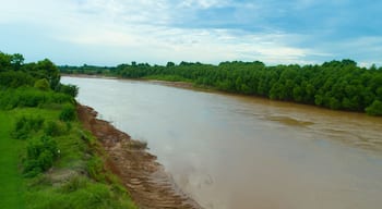 Brazos River Aerial Texas River Forest