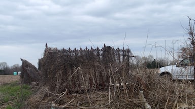 After clearing had began