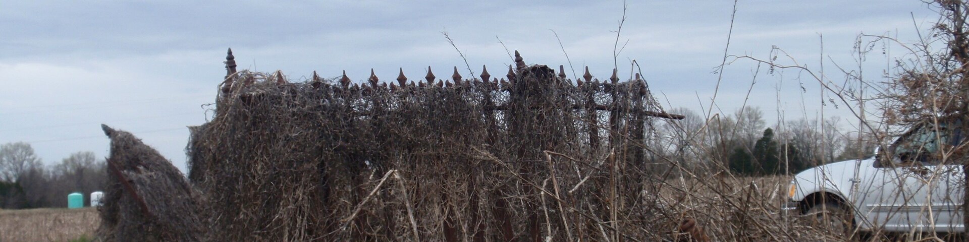 After clearing had began