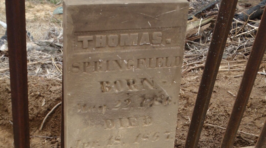 Located in whats now a farm field, the Springfield's were prosperous land owners in the 1800's