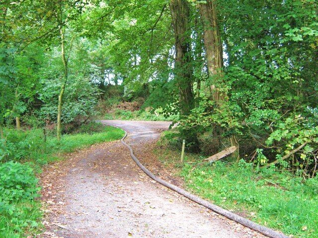 Track in the grounds of Monreith House The track turning to the left leads to entrance of Monreith House. The track to the right leads to the White Loch of Myrton.