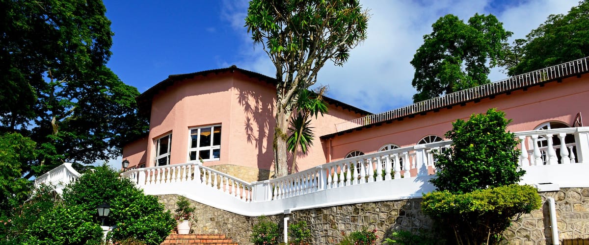 A pink building with a white balcony, surrounded by trees and potted plants.