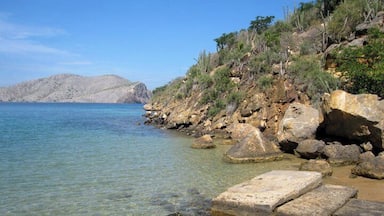 A rocky shoreline with clear water and a distant mountain range.
