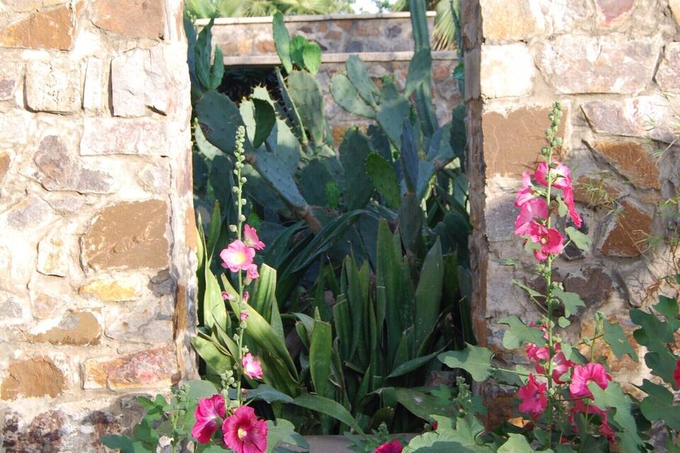 Un arco de piedra con plantas florecientes y cactus.