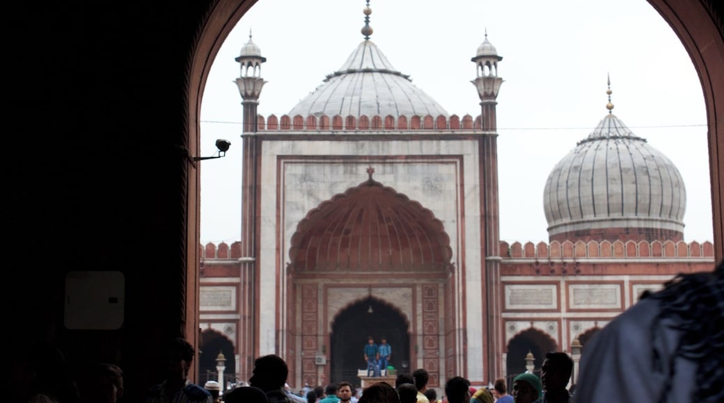 This beautiful mosque was built during the reign of the mughal emperor, Shah Jahan. This is the largest mosque in India.