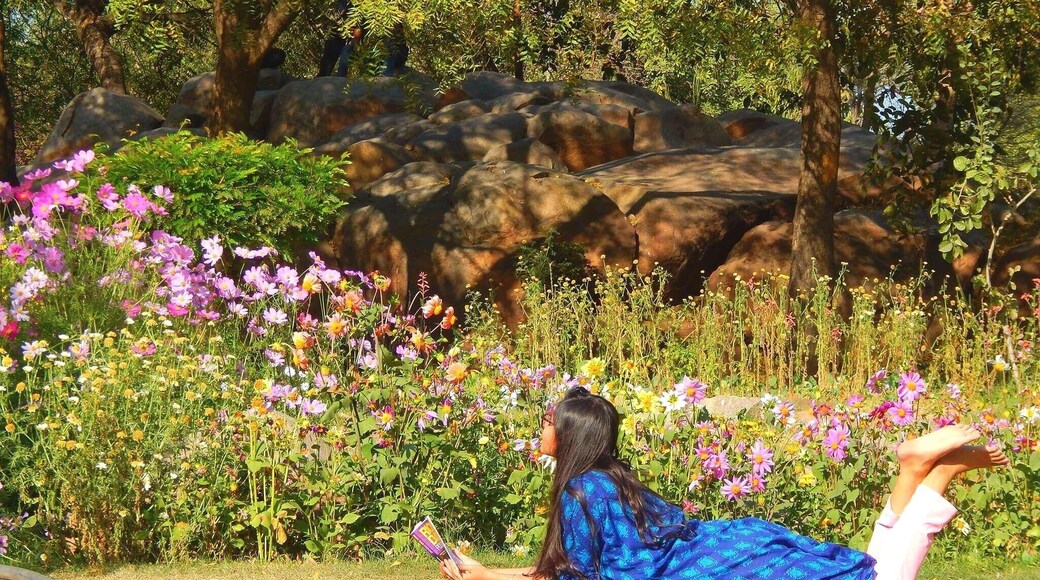 At the cactus garden!
Smell the flowers, kiss the green grasses, hug mother earth, chase the colorful butterflies coz spring has officially sprung! 😀
#SpringFun