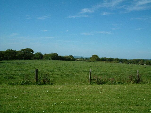 A grassy field with a wooden fence and trees in the background.