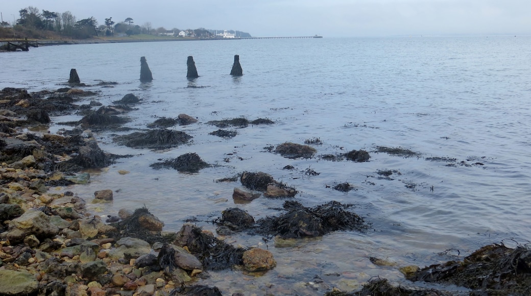 The Solent shore near Yarmouth - Feb 2015