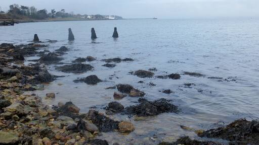 The Solent shore near Yarmouth - Feb 2015