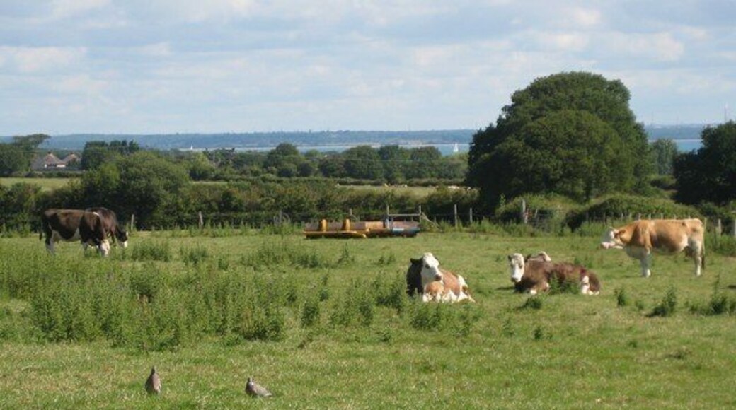 Looking north towards The Solent and the mainland from The Orchards Holiday Park