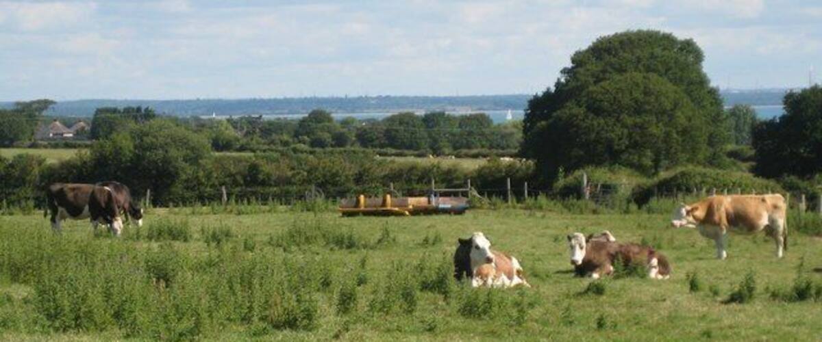 Looking north towards The Solent and the mainland from The Orchards Holiday Park