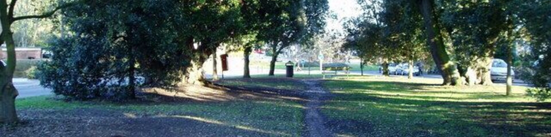 Um parque com trilha de cascalho, árvores grandes e área gramada.