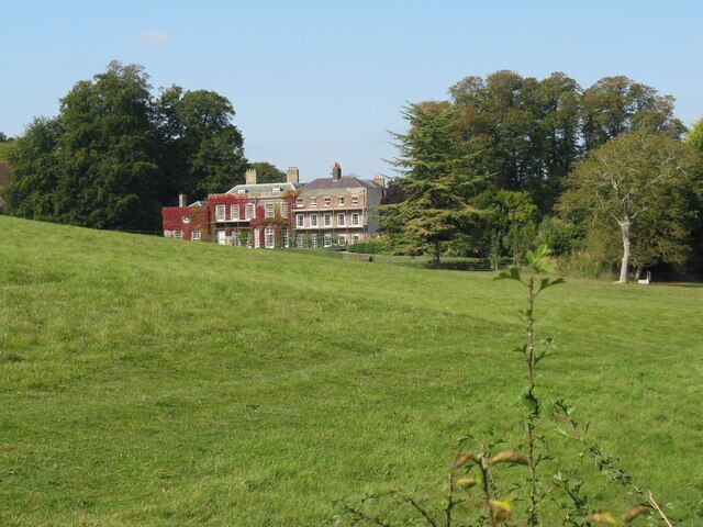 Repair work at the rear of Findon Place