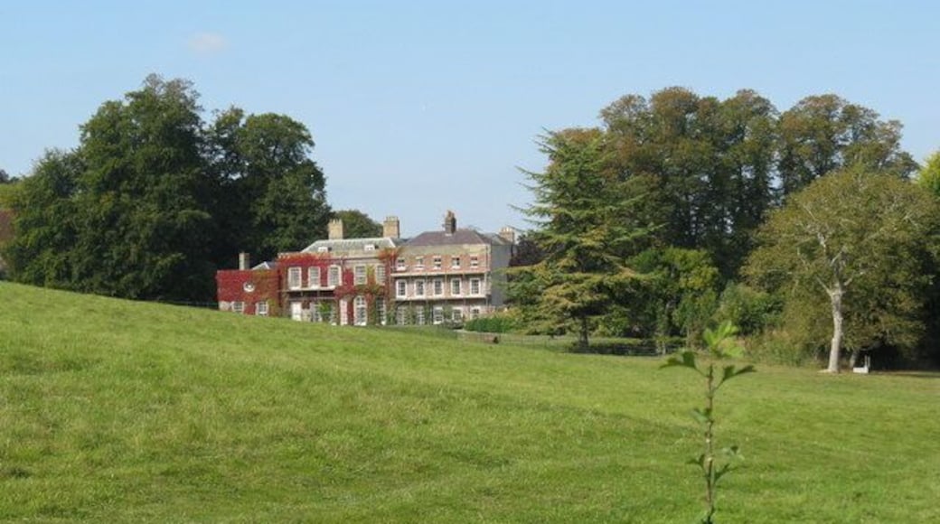 Repair work at the rear of Findon Place