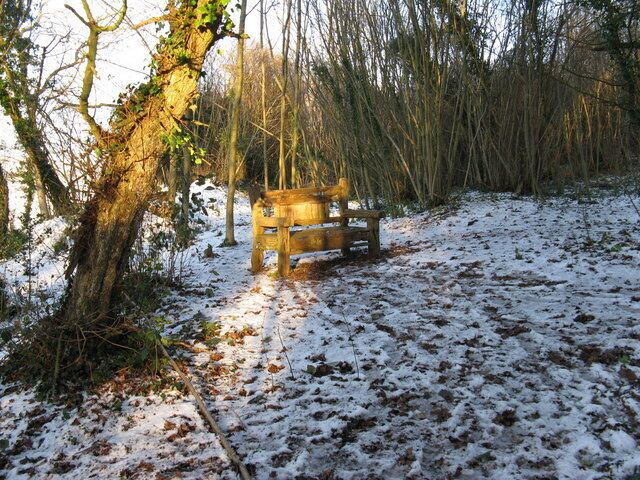 Rustic seat in the sunshine In the northern edge of Church Copse