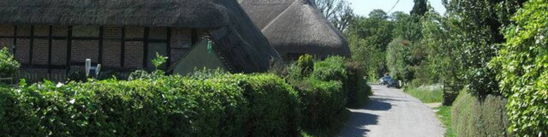 The Street Norfolk Cottage, a 17th century building is on the left.