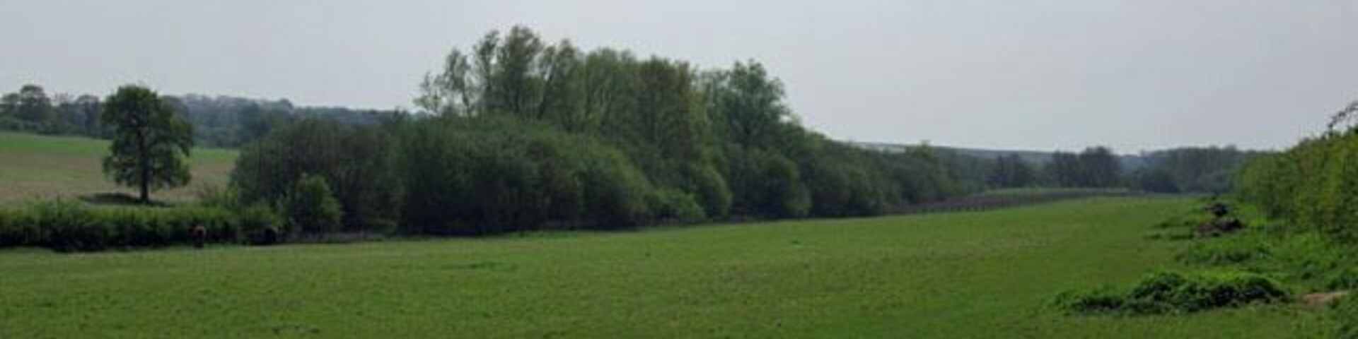 Field by Patching Pond Seen from the stile at the corner of the field. Strictly, in order to proceed down the field by public footpath, one must cross the hedge on the left at a stile, and then shortly afterwards return through the hedge by a second stile. Naturally a path parallel to the hedge on the right is the customary route. The tail of Patching Pond is in the wooded area straight ahead.
