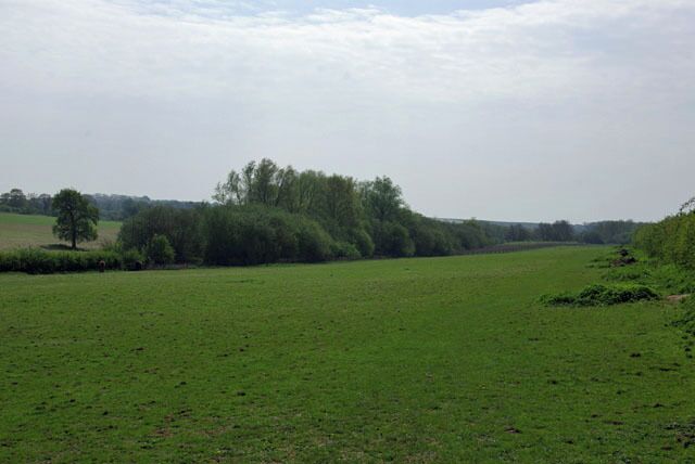 A green field with trees in the distance and a cloudy sky.