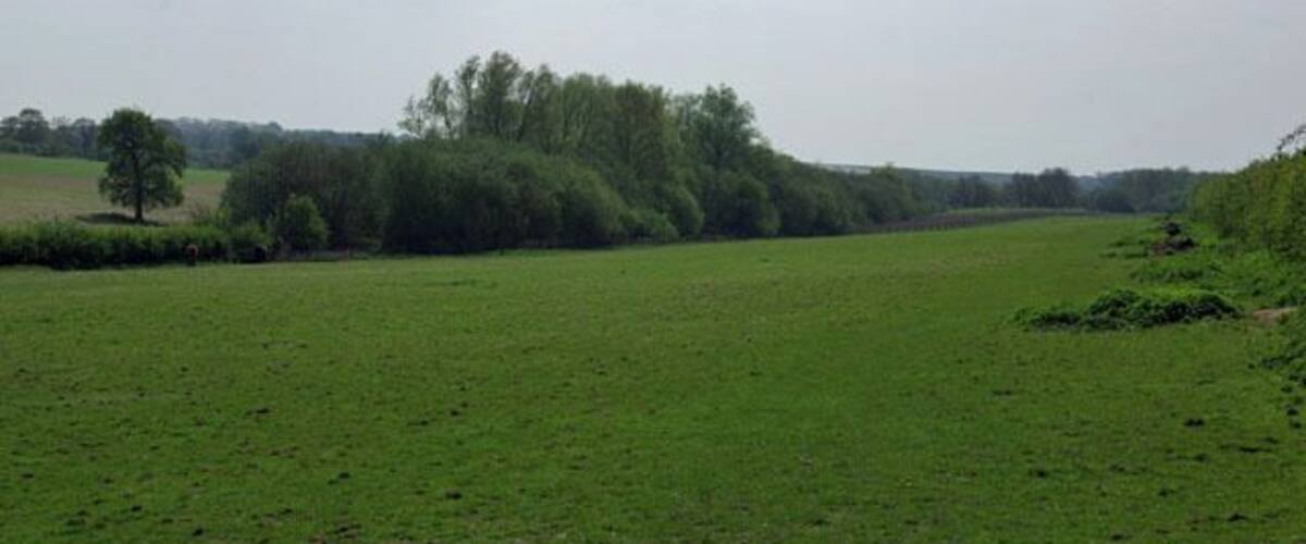 A green field with trees in the distance and a cloudy sky.