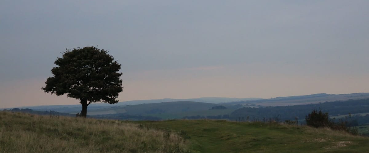 The beautiful Cissbury Ring near Findon, West Sussex in the early evening.