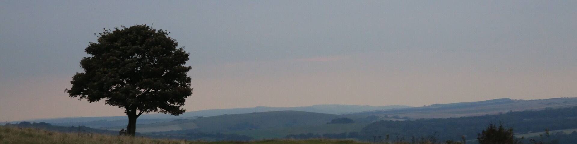 The beautiful Cissbury Ring near Findon, West Sussex in the early evening.
