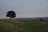 The beautiful Cissbury Ring near Findon, West Sussex in the early evening.