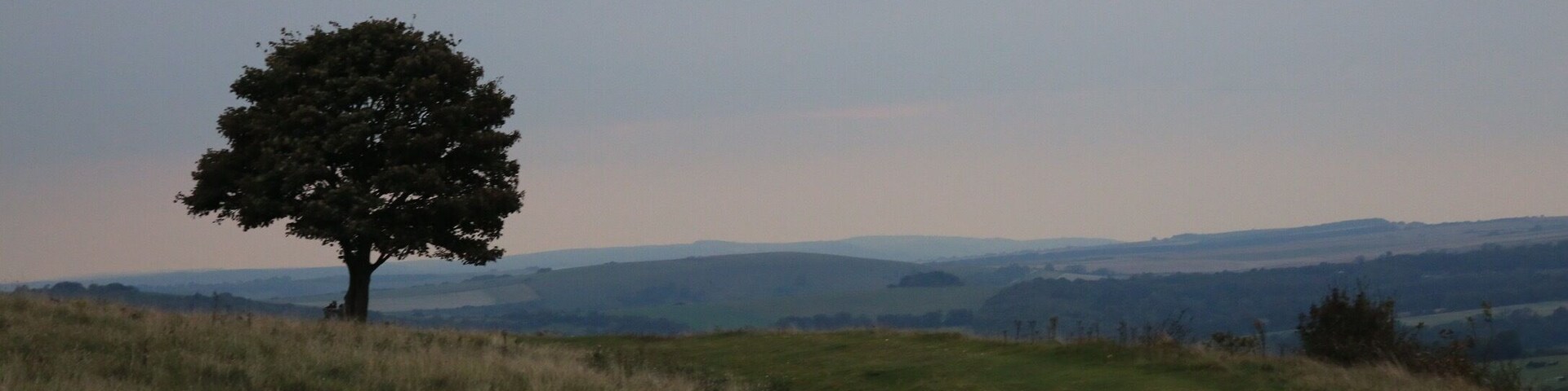 The beautiful Cissbury Ring near Findon, West Sussex in the early evening.