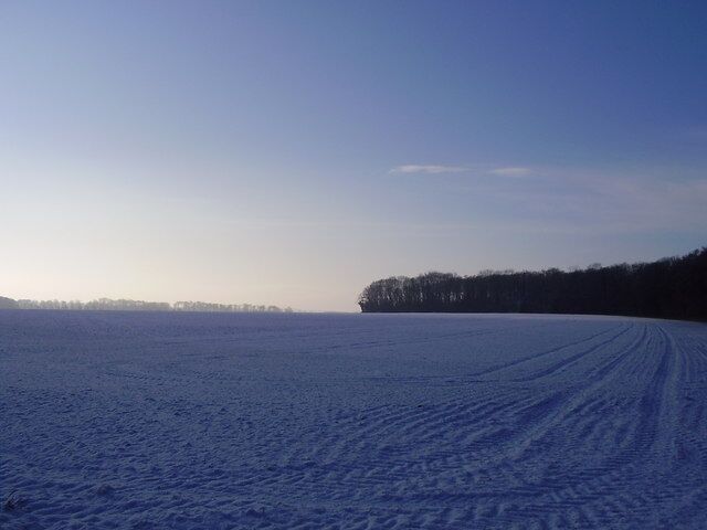 Snowy scene This is the site of the St Leger horse race before it was moved to Doncaster many years ago.