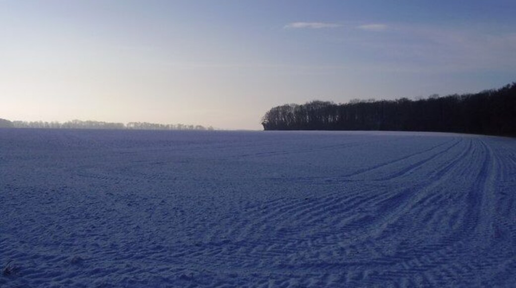 Snowy scene This is the site of the St Leger horse race before it was moved to Doncaster many years ago.