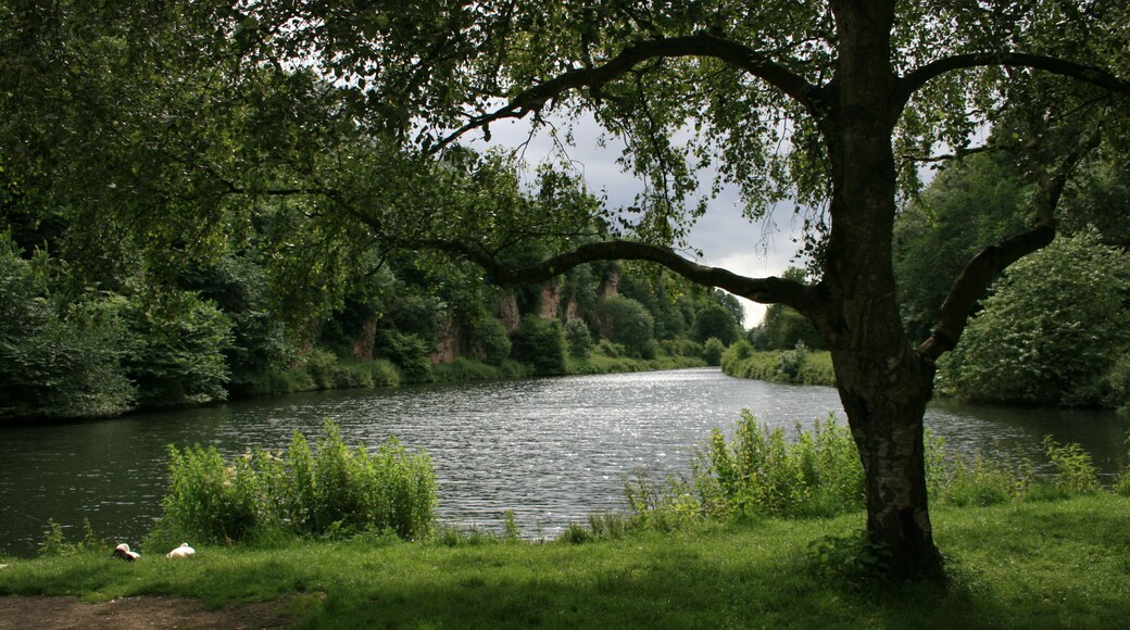 the pond at cresswell crags