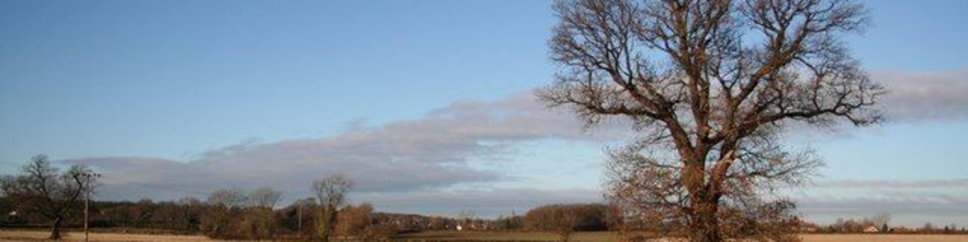 Arable farmland north of Liquorice Lane, Carlton-in-Lindrick, Nottinghamshire