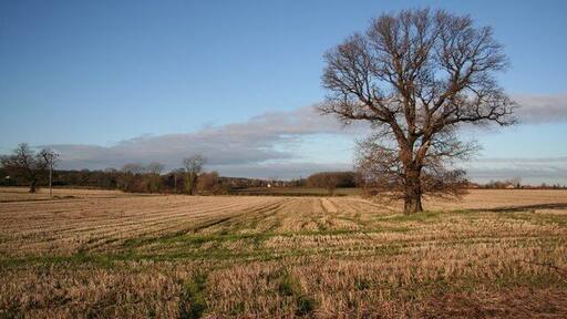 Arable farmland north of Liquorice Lane, Carlton-in-Lindrick, Nottinghamshire