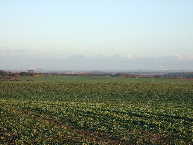 A vast agricultural field with rows of crops under a clear sky.