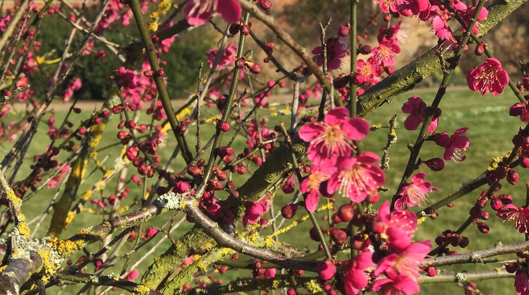 District de Bassetlaw