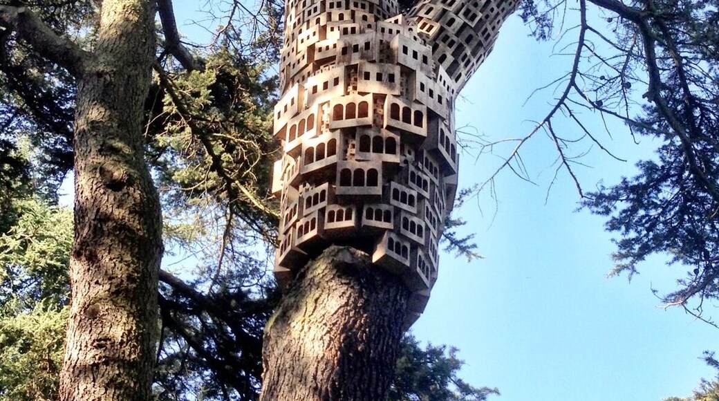 This Bug and Bird city intrigued me high up in a Cedar tree #architecture