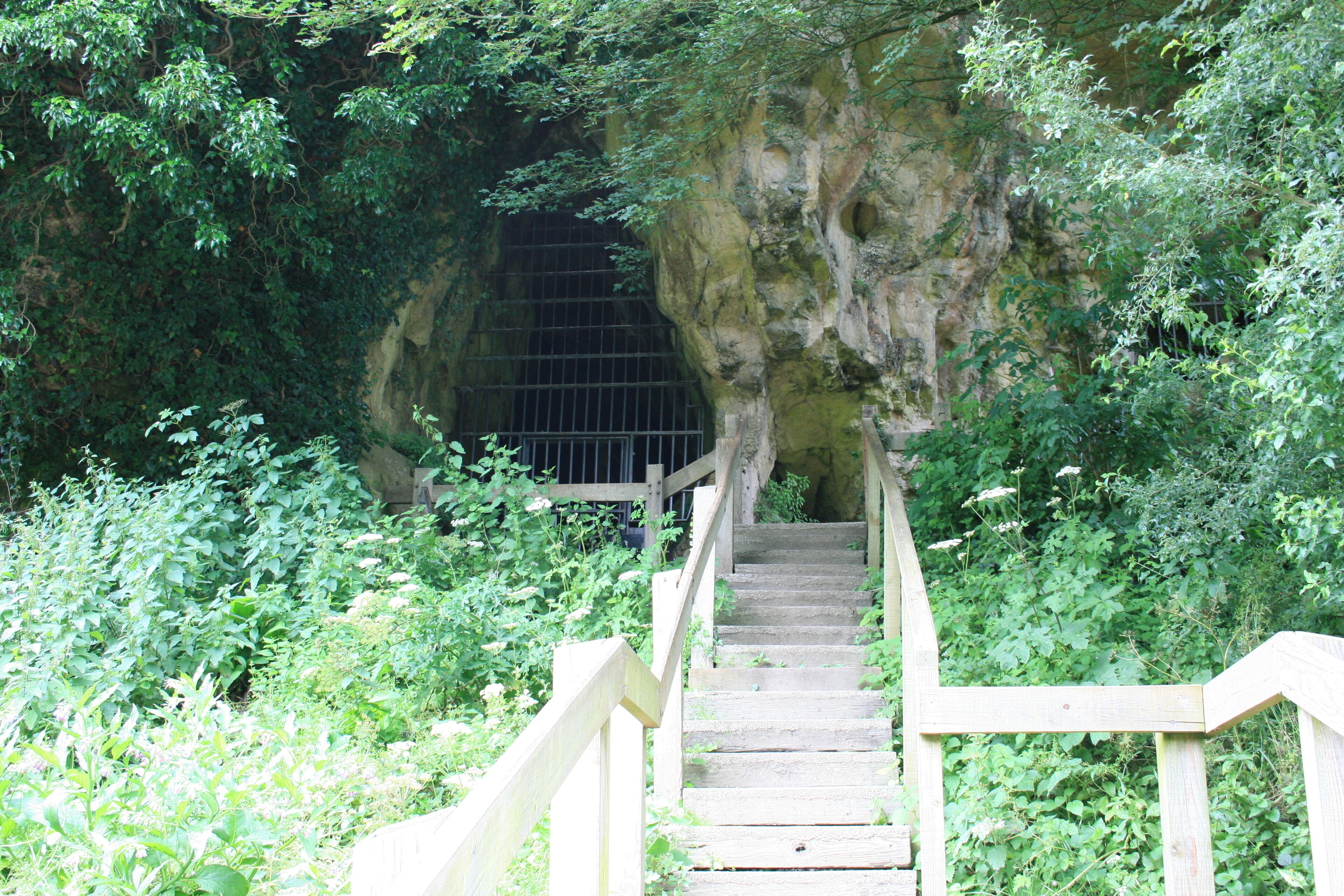 one of the several caves at cresswell crags