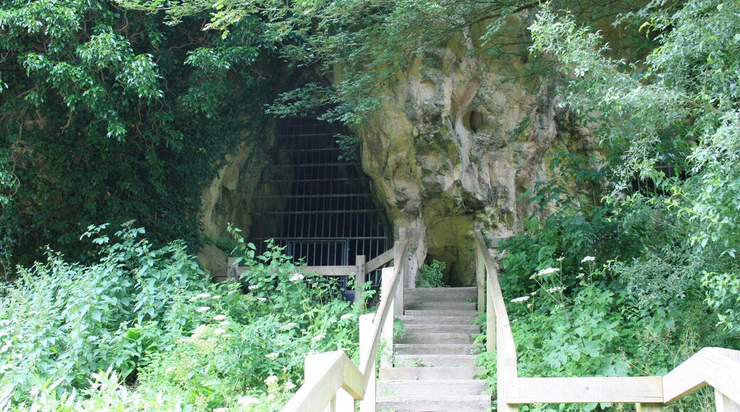 one of the several caves at cresswell crags