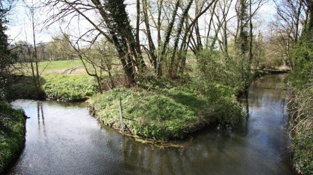 River Ryton A meeting of waters by the bridge at Nornay