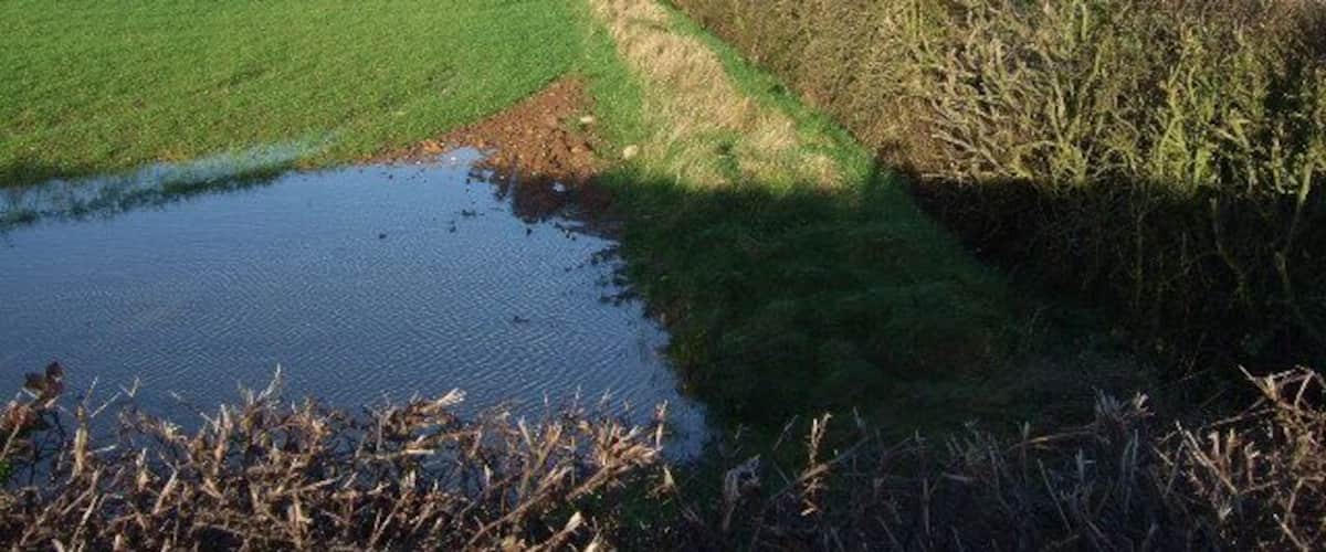 A rural landscape with a field, a ditch, and a water body.